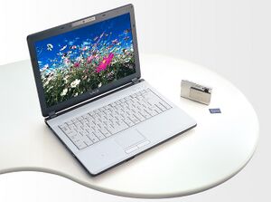 A white Sony VAIO VGN-FJ